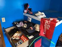 Photo showing assorted shoes including Nike Air shoes, Bowerman track shoes, Puma cleats, ball caps and visors, plus a red 'Let's Go Raptors' flag.