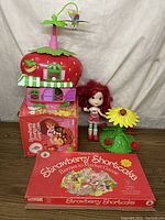 Full lot including playhouse, doll, flower figure, and board game boxes