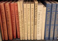 Shelf display of 15 vintage oversized art books in red, white, and blue cloth covers with titles mainly in French, Spanish, and English.