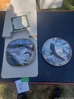 Two eagle-themed collector plates and Certificate of Authenticity in original packaging box.