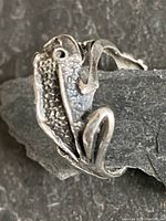 Close-up side view showing the frog's textured scales and the legs wrapping around the band.