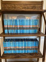 Two shelves of Hardy Boys books with blue covers and illustrated spines featuring the Hardy Boys.