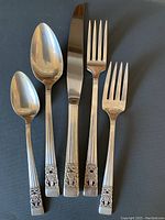 One each of teaspoon, soup spoon, knife, dinner fork and dessert fork arranged on dark background showing overall shape and size