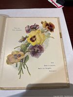 Page with colorful illustration of pansy flowers and typed Shakespeare quote.