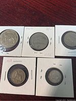 All five coins in individual holders arranged on a wooden surface, showing fronts and backs with animal designs.