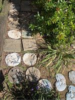 Overview of multiple stepping stones arranged in garden soil near plants, showing different shapes and detailed carvings.