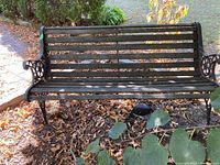 Front view of the garden bench showing black wooden slats and metal frame with decorative armrests.