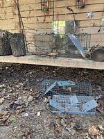 Three different sized wire mesh live animal traps shown on an outdoor wooden shelf and soil ground with leaves.