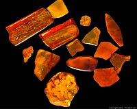 Topview of 14 amber chunks with glowing appearance against black background showing diverse shapes and sizes