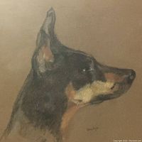 Close-up of the dog's head portrait painting signed by Jiskje.
