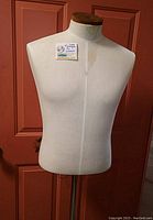 Front view of the mannequin torso showing the Sears sticker, fabric covering, and wooden neck cap.