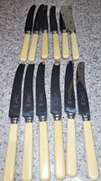 Twelve vintage cutting knives arranged in two rows showing cream ivorine handles and steel blades.