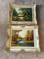 Two framed scenic landscape paintings placed on carpet floor showing one with a forest pathway and one with a river with autumn trees.
