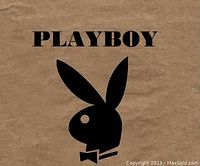 Playboy logo on a brown background likely from packaging or cover.
