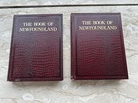 Front covers of both volumes side by side on stone surface