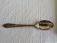 Full view of Ferag silver spoon on a textured white surface showing its entire length and shape.