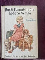 Front cover showing girl in red dress sitting on wooden box with a dog and a cat, with title and author printed in German.