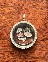 Close-up photo of the double-sided princess floating charm locket showing five petite charms inside and visible rhinestones around the edge.