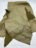 Two irregular pieces of olive green leather with smooth grain side up and suede underneath, showing texture and color.