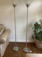 Photo showing the pair of tall floor lamps with brushed metal finish standing on hardwood floor against a plain wall.