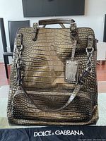 Front view of bag on dust bag with Dolce & Gabbana logo