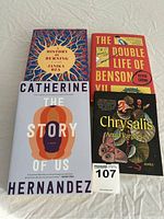 Top view of all four books showing front covers.