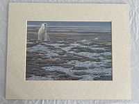 Photo of the polar bear print matted in beige, showing detailed tundra scene and signed print.