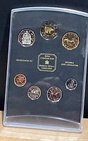 Clear plastic protective case containing the 1999 Canadian Mint uncirculated coin set with seven coins visible inside and label on black insert.