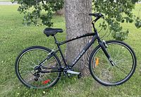 Full side view of black Genesis Trafik bicycle leaning against tree on grass