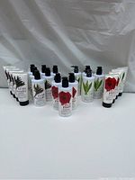 Wide view of all Spa Resourse body care products arranged in rows showing different scents and product types.