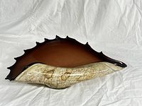 Top view showing full shell-shaped glass bowl with brown rim and crackle beige body.