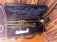 Trumpet inside open black hard case with plush interior lining, showing full length of the instrument.