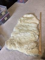 Lamp skin rug photo on carpet floor with yardstick showing size approximately 3 feet long.