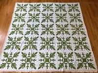 Full view of quilt top laid flat showing all 25 appliqué blocks and lace trim