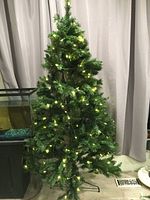 Artificial Christmas tree lit with warm white LED lights, standing 6.5 feet tall in a room with curtains behind it.