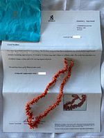 Overview image showing the appraisal document from Birks along with the coral branch necklace.