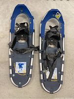 Top view of pair of blue Tubbs snow shoes, showing adjustable black straps and harness system, with brand stickers on the frame.
