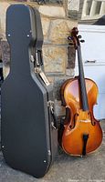 Cello standing next to black hard case against stone wall