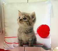 White square cushion featuring a realistic tabby kitten and red yarn ball image on the front.