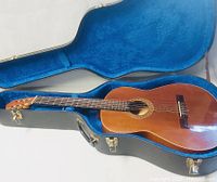Classical guitar inside an open black hard case with blue velvet lining, nylon strings, wooden body with rosette design around soundhole.