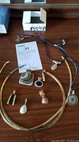 Photo showing multiple pieces of Lia Sophia jewelry including a gold-tone herringbone choker, pendants with enamel and stone details, black cord necklace with silver-tone pendant, and assorted pendants on a wood surface.