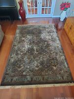 Full view of rectangular rug on hardwood floor with fringe visible at ends