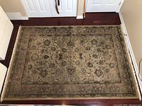 Full top view of the Carrara rug showing overall pattern and condition on dark hardwood floor.