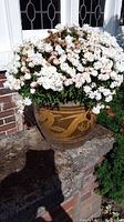 Full view of one ceramic planter filled with flowers, showing the dragon design.