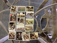 Image showing 16 vintage German cigarette cards with colorful illustrations of rural scenes, people and landscapes laid out on a glass table.
