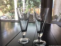 Pair of clear crystal pilsner glasses with etched floral decoration, shown side by side on a windowsill with light shining through.
