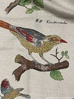 Close-up of fabric showing a detailed illustration of a bird perched on a branch with accompanying text label '62 Ortalis oralis'.