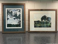 Both framed watercolours displayed side by side showing overall look and frames.