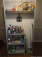 Full view of closet content showing cleaning solutions on a resin utility shelf, broom, dust pans, and boxed tissues, garbage bags on the top shelf.