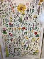 Full view of the framed botanical poster depicting various desert wildflowers from California with their names.